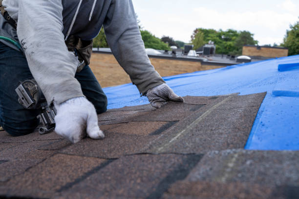 Best Slate Roofing Contractor  in Nice, CA